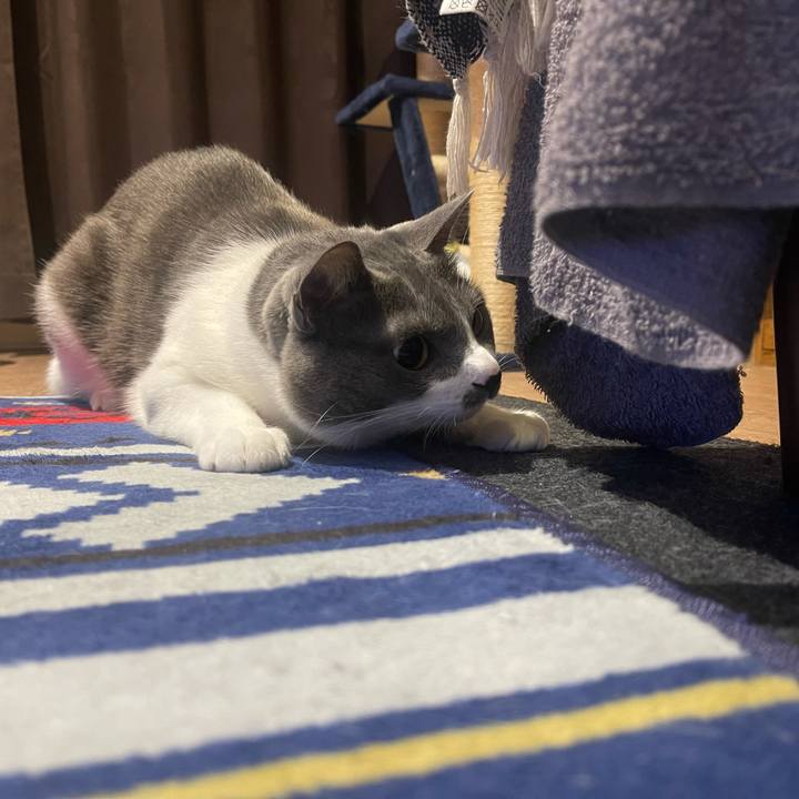 Ca3cf5b4 ac66 4caa 9207 18097e87a104 1636540697802