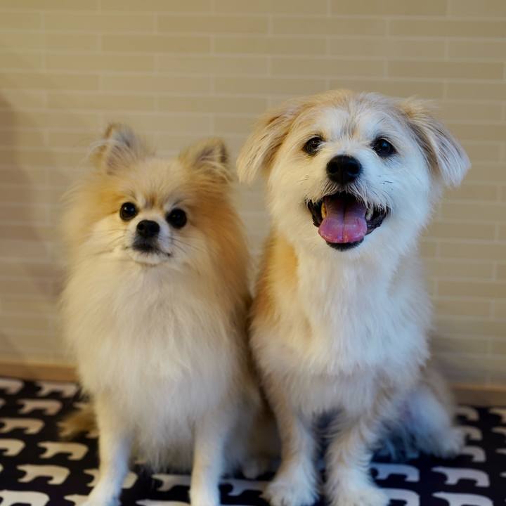 Ca3d1e4c 4e7a 45b7 887d 2e11e4886bce 1758058303894