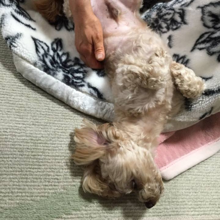 Ca3d2288 222c 4958 a44c e115a6c586ea 1556636835034