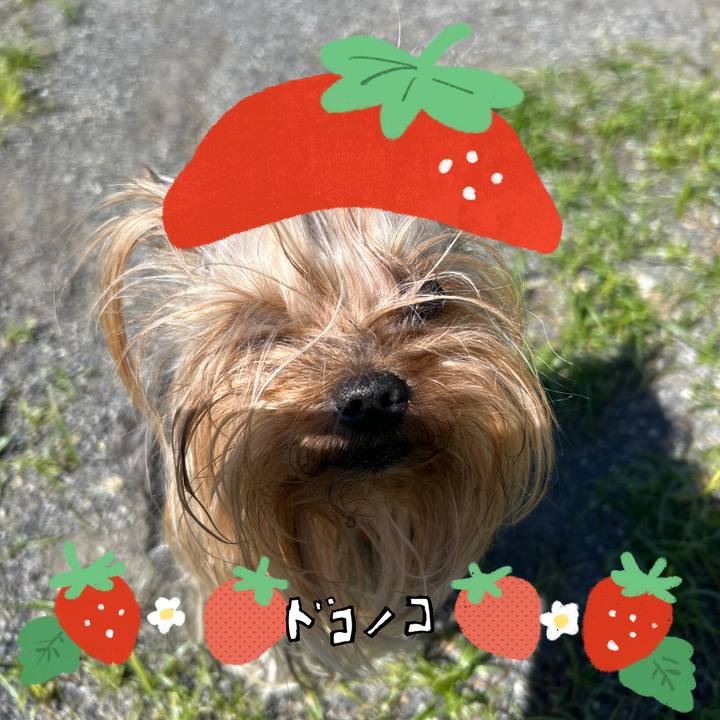 Ca3d4d51 28d2 4ffe b034 d2103370ba18 1775609012119