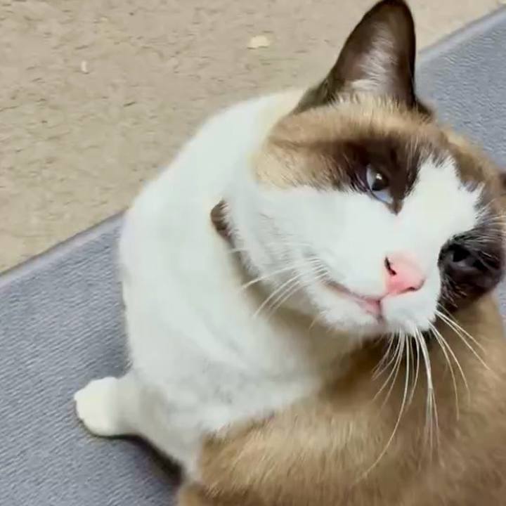 Ca3d4ff2 f1c1 465b 8fdc d780cfe16055 1770292611960