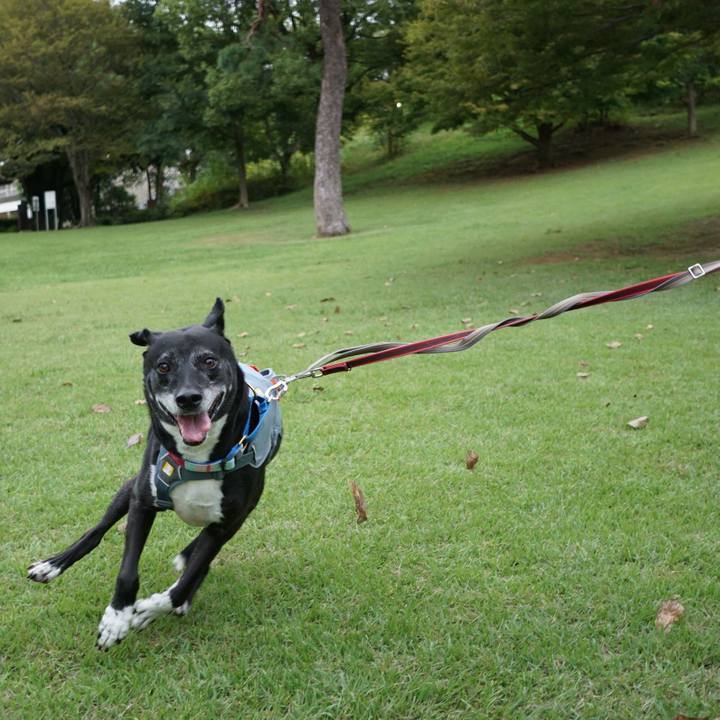 Ca3d6431 0bfa 4d42 bc7b 45d567785599 1759798580124