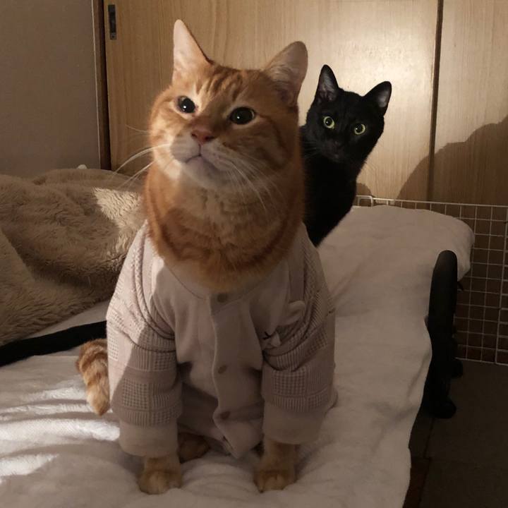 Ca3d92c5 bb24 43cd 88f4 02eb8195ae28 1683377165804