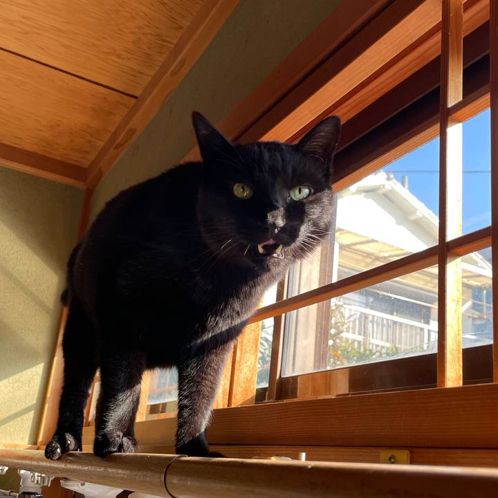 Ca3db0d8 2462 41fc 8072 c2c019806a99 1647474317051