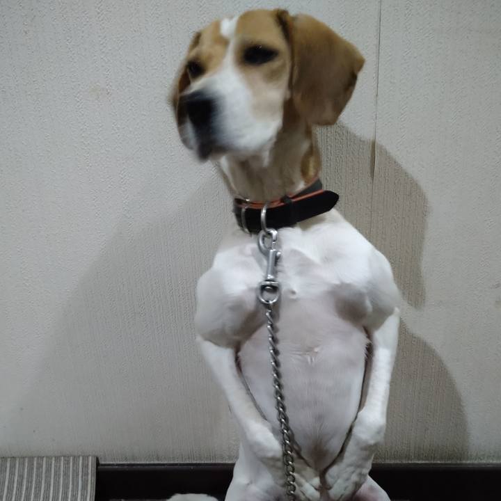 Ca3db162 35c8 4f7f 9a7c b00ce1711805 1637493771820