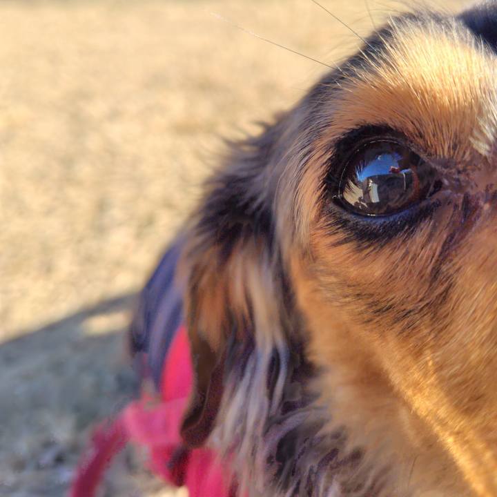 Ca3ddfa6 6168 4ebb 8597 a288dfb95cba 1739061859843