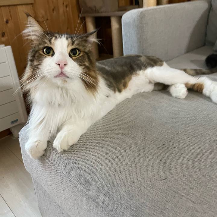 Ca3de9ec 023c 4fb9 99a9 cbeb0393ee6c 1688587337911