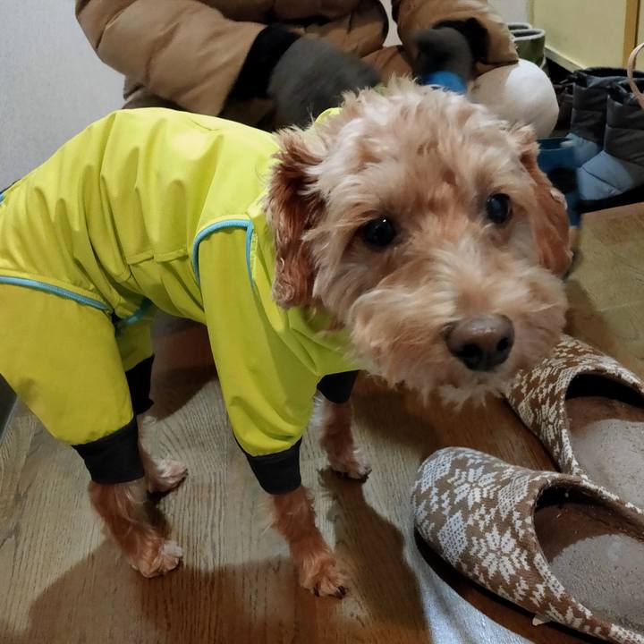 Ca3e1f6b 8efc 4630 8a03 56abada78bb6 1605826405291