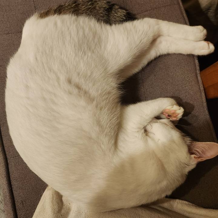 Ca3e29cd 311b 4073 bb5e c01a1f82451c 1727943971350