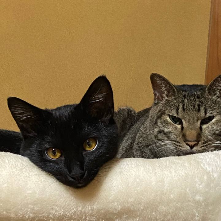 Ca3e5f45 4179 4519 89e0 825013766a2c 1763994245879