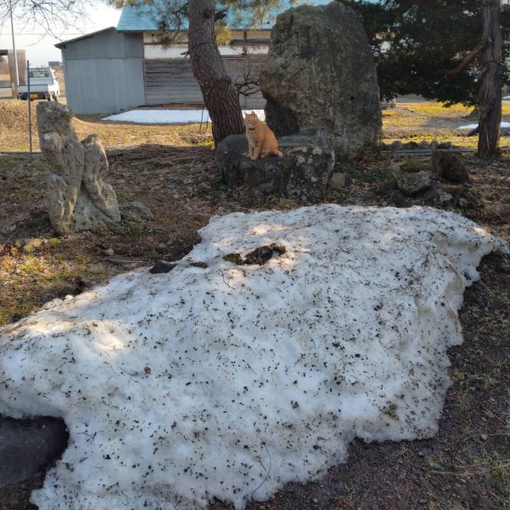 Ca3e8555 2202 482e 8f23 cfec00168f69 1774342520109