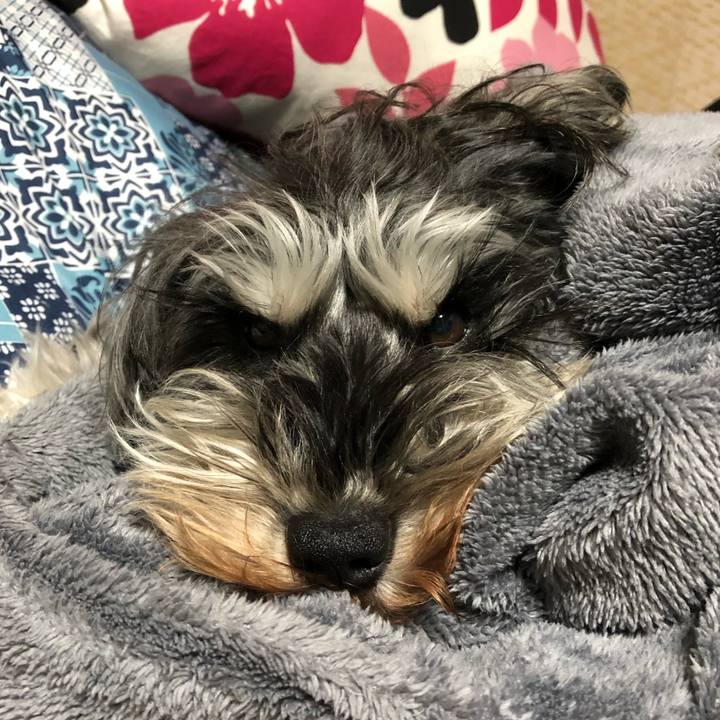 Ca3ea0ae b140 4ffa 9fd5 2331a47a9ba5 1549285462823