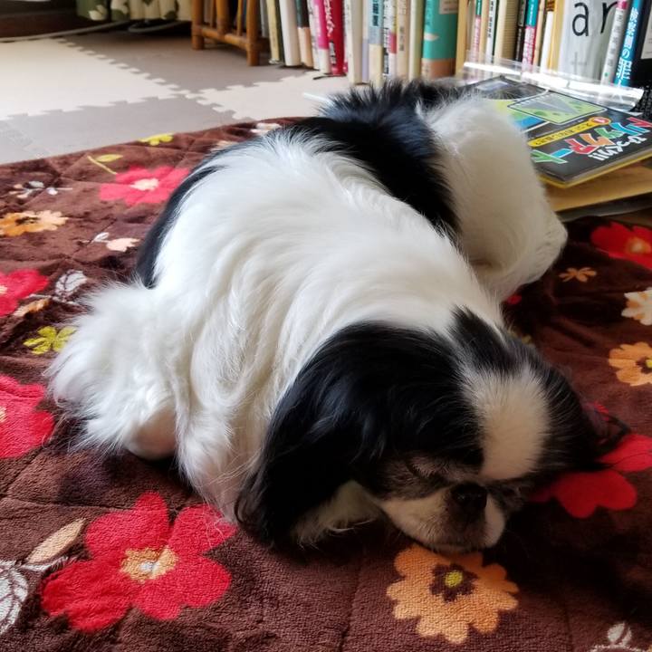 Ca3eb540 e9f7 465c 9ed5 6315f01a752f 1556454736120