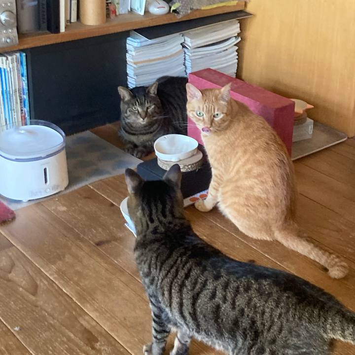 Ca3ecf4e 7d08 4aa5 8bdb 843a9cf0c9a1 1723540761562