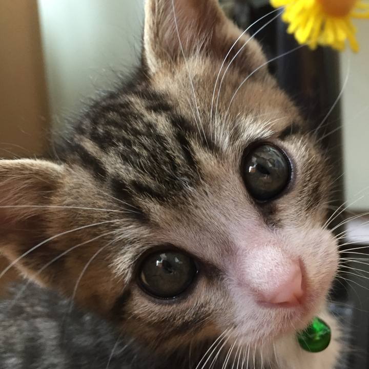 Ca3eef3b bf75 400c 9bcc 6bcab9ed7256 1759057204681