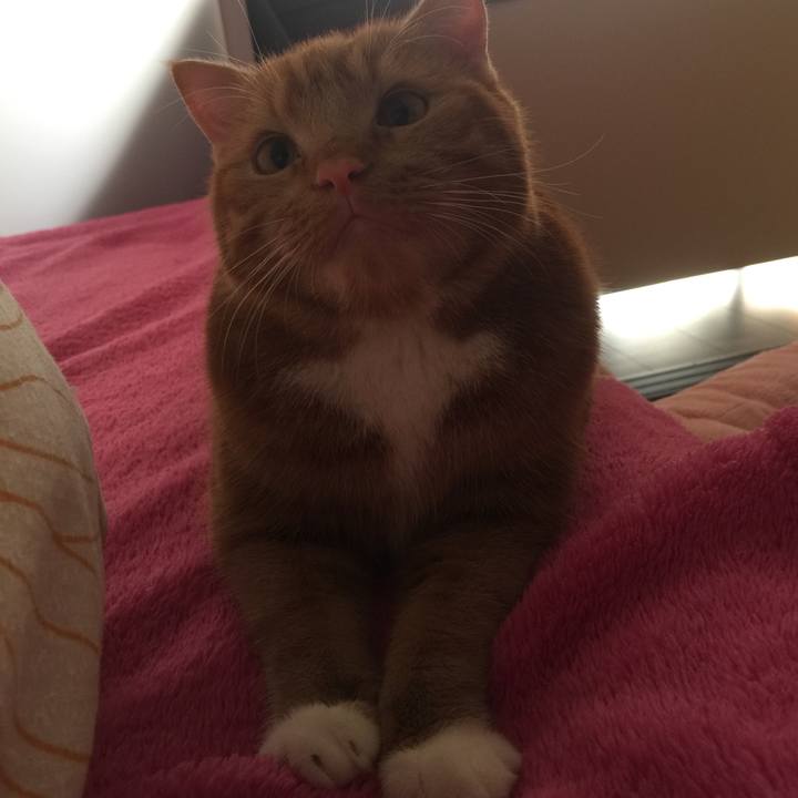 Ca3ef44f 40fc 4464 9603 cc7ae6566b14 1509749987179