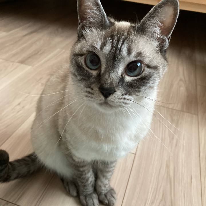 Ca3efb8f 4baa 4c7c 8b07 099b790812f6 1654730634237