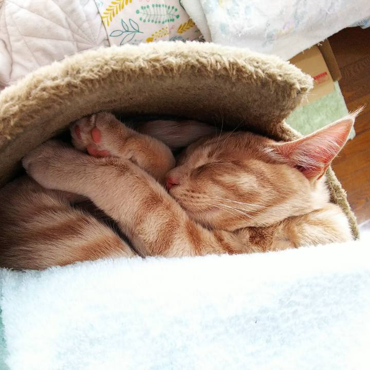 Ca3f291d 2f8b 4171 acce 9bb7b62bb418 1547272410816