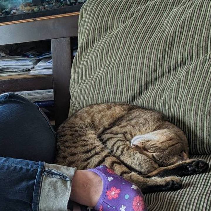 Ca3f2e82 ef78 4f5e 9a74 9ac79bfdac27 1679401929347