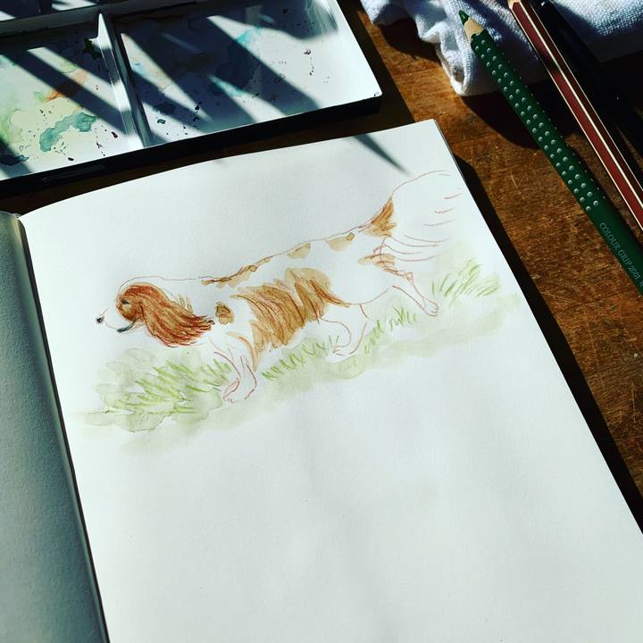 Ca3f3566 0875 43ec b556 f86f750aa474 1574557945788