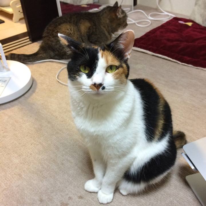 Ca3f534b dcb2 4ee1 a54d 75adcd6207fc 1593083578451