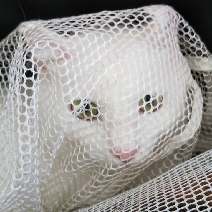 Ca3f758d 2b8f 47d4 956c 74bbde20283c 1667795150881