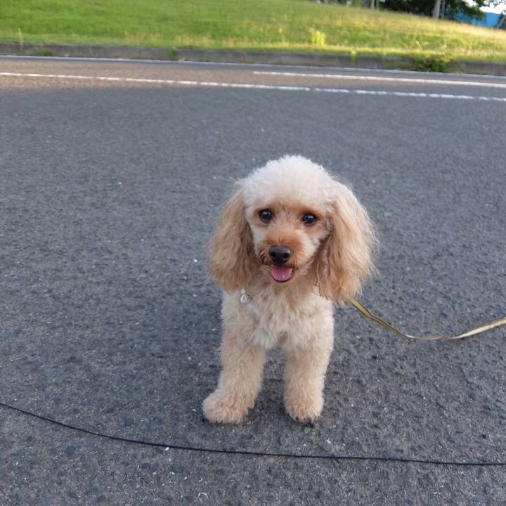 Ca3f8a0a 92d6 48c7 a172 29b520395aad 1532212352908