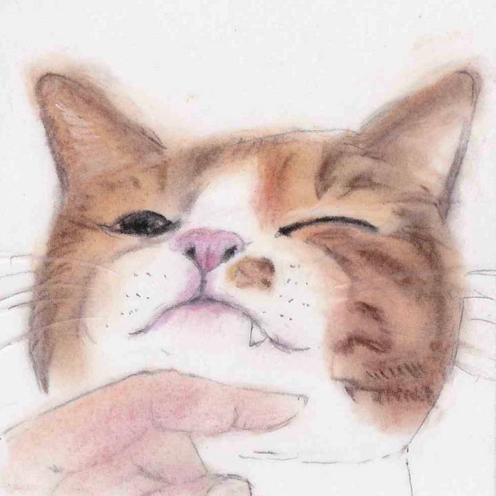 Ca3faee8 52ed 4f14 91f7 d60bc469f729 1652358319819