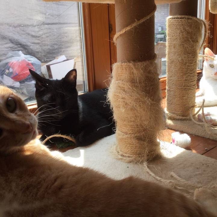 Ca400397 2d48 4235 90b0 84cebdc7d329 1553874992496