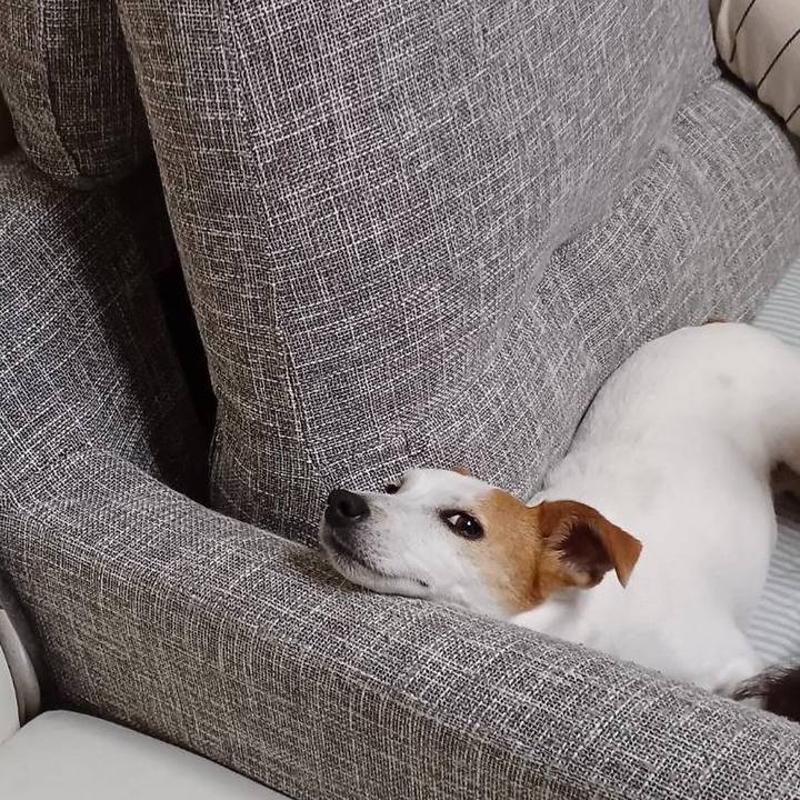 Ca4047c9 9681 4e79 9521 637555e410b9 1653481728012