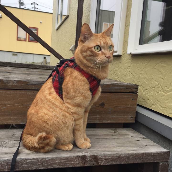 Ca4064ec 0cb4 4d3a 89e3 f03a25bf787b 1531954691008