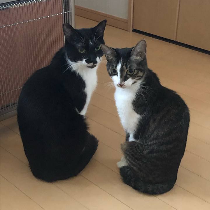 Ca406bfa 23ba 4c68 812e 70bda1006dcb 1554015201514