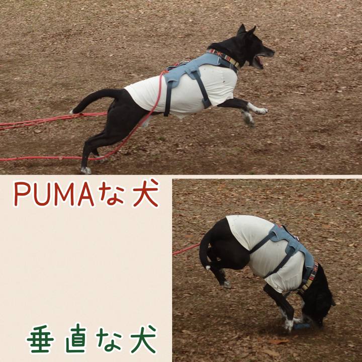 Ca40840a e4a5 446c 9c3e 87b45b138165 1704158851077