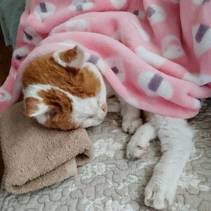 Ca40c3c2 1525 4df3 b375 fe5710e01919 1566689456876