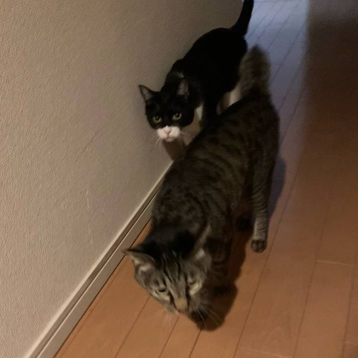 Ca40f3fb bee2 470a 8c82 d0ec28c7c7d5 1618153384799