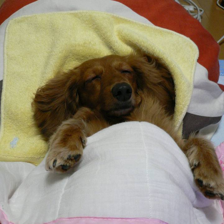 Ca415510 36de 4fbd be25 bb2a7e3772d8 1532968349518