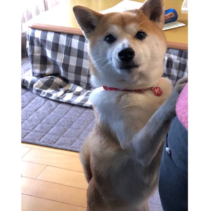 Ca417872 a12c 42cd 90c9 40fb9083f0b8 1547858793765