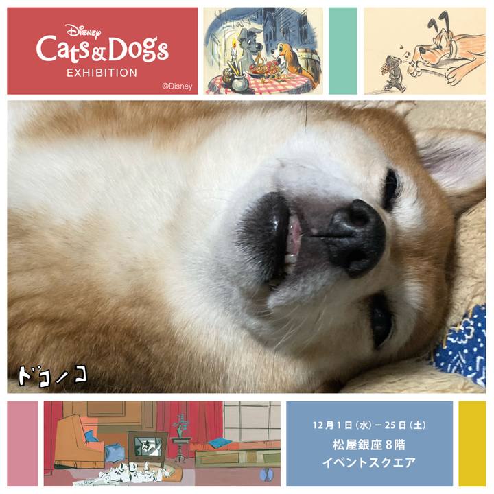 Ca41c490 fb7e 44a4 aec9 afe009455e52 1638426647836