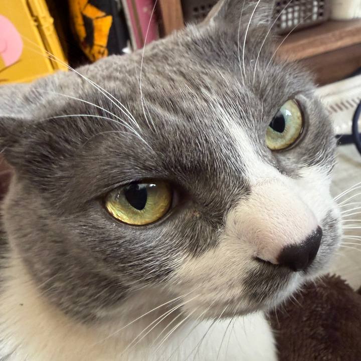 Ca41d43c 344b 4f8e ba8f 810cd6ac97e6 1765680938239