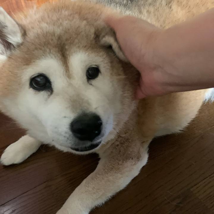 Ca41ef6c 1a7a 40f1 bddf f12da8b0433f 1620650786024