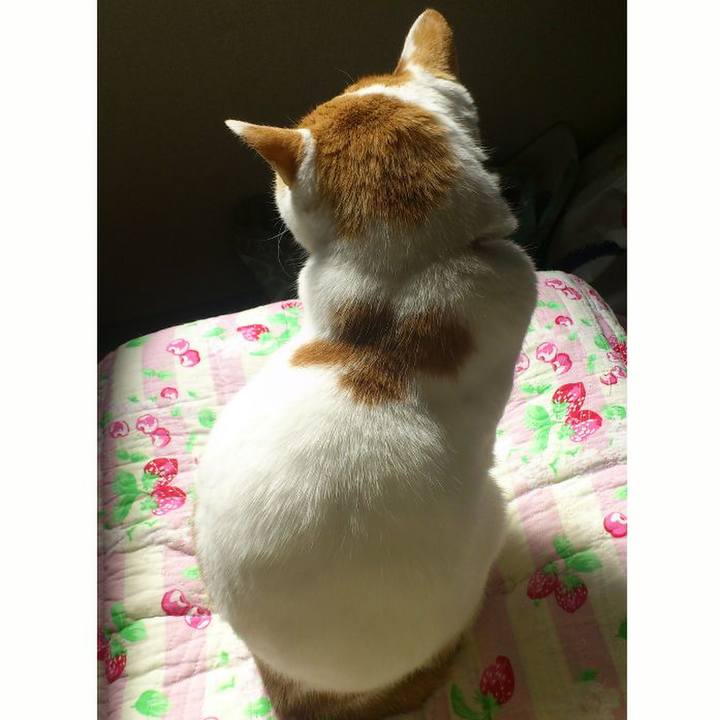 Ca424b03 92b5 4676 a4e6 437cfd653272 1590209974934