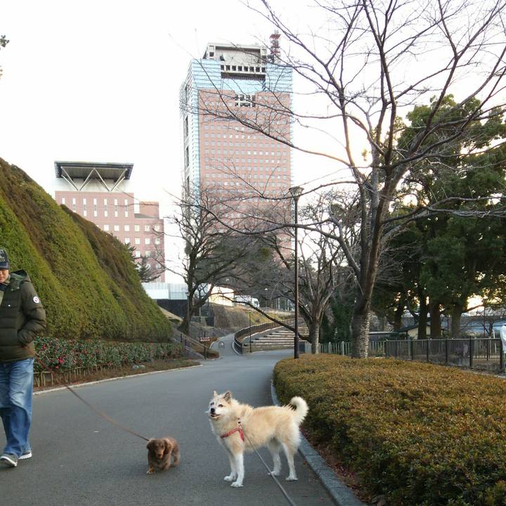 Ca426f18 8907 4350 a283 da8d43778aa7 1514793530066