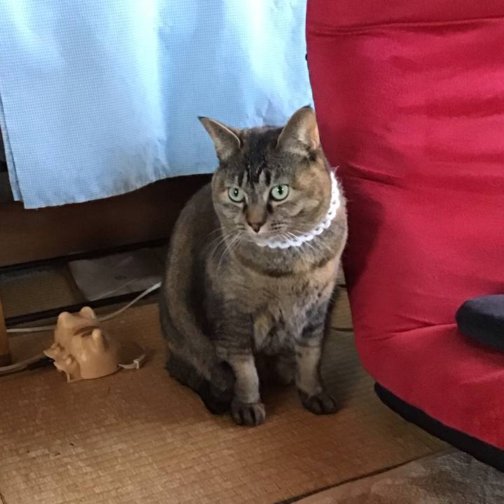 Ca4270e4 7000 4e6e 978e f1bedf7d0e67 1740043035309