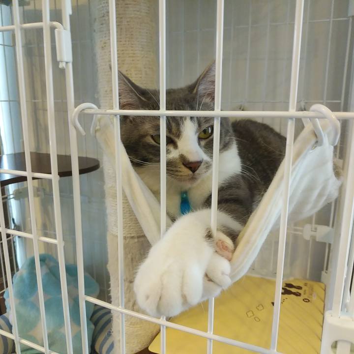 Ca428c97 8602 45c9 b4ee 9db17ab64e71 1588723131104