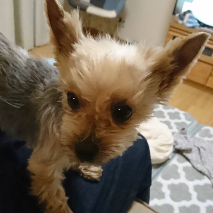 Ca431f40 b04a 468b 90dc a996129ea2c5 1548583733752