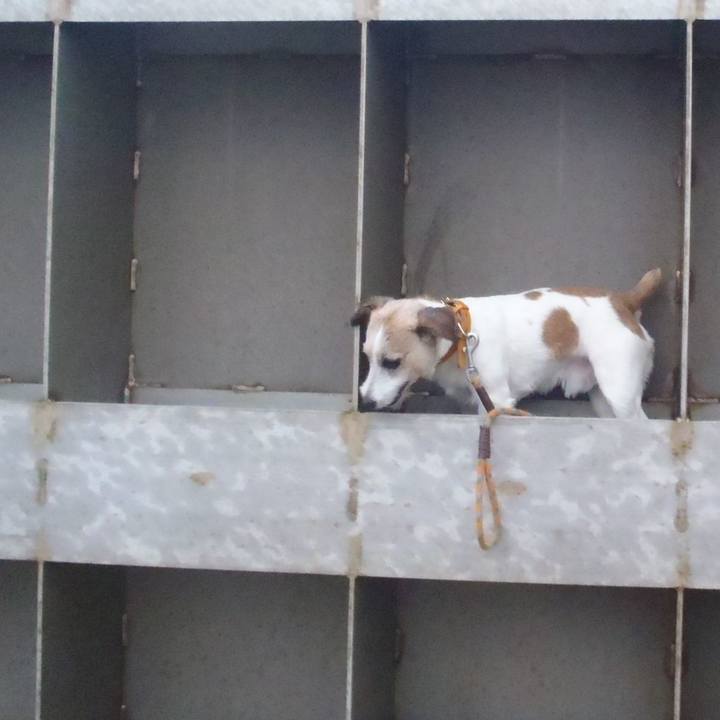 Ca432fae 1014 41f7 932f 52c83af31486 1541331095883