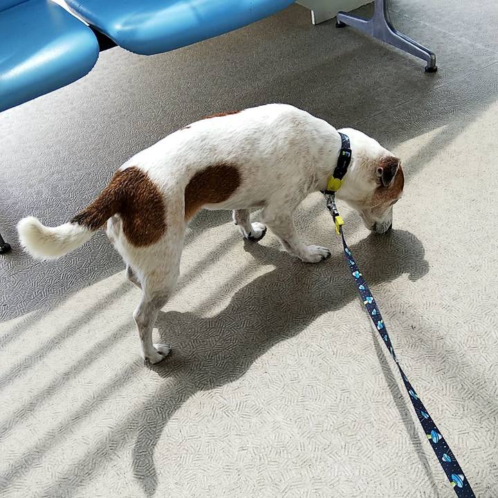 Ca434896 4221 4974 883e 86be1dc93ebc 1561273133738