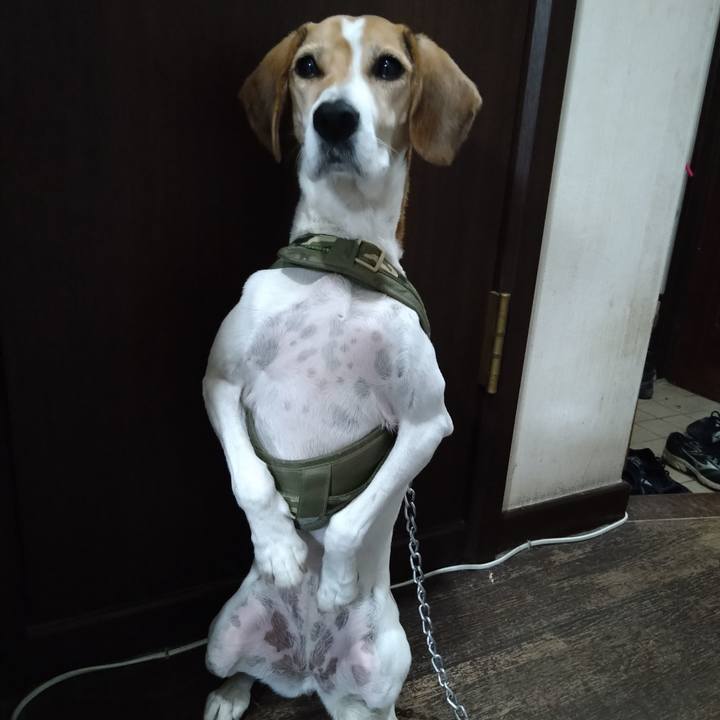 Ca435aff b5a7 479a 997d d5cb33ca4fe5 1669214284564