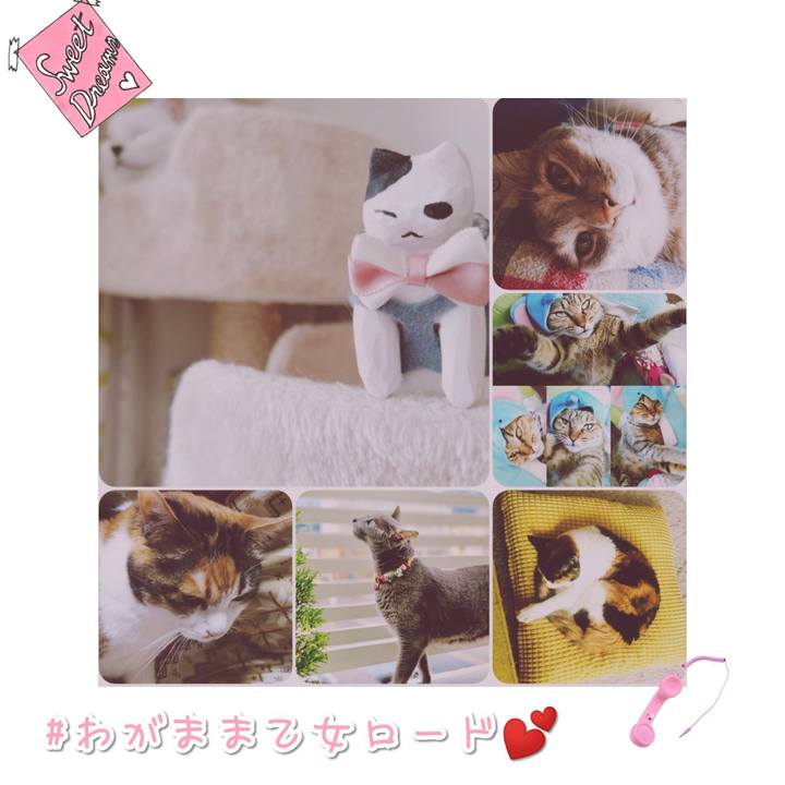 Ca435fec 7381 4a79 a894 0833b6f3c214 1568634868845