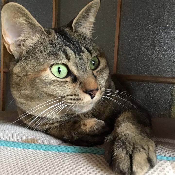 Ca4361b3 a042 4f6a b8c4 4b27d5b9b567 1651040961159